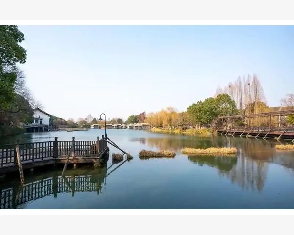 咳嗽有痰要先化痰：中医帮您告别痰涂烦恼
